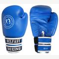 BAG&SPARRING GLOVES (BEL-002)