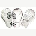 HOOK & JAB AND GLOVES SET (set)